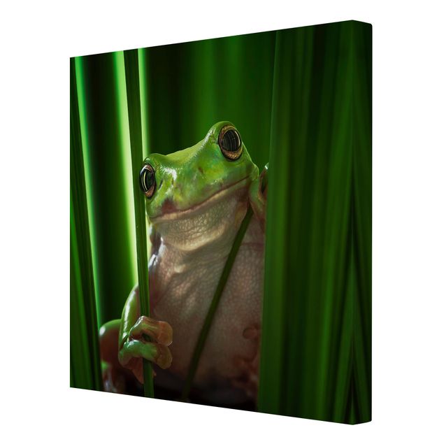 quadros para parede Merry Frog