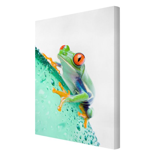 quadros para parede Frog