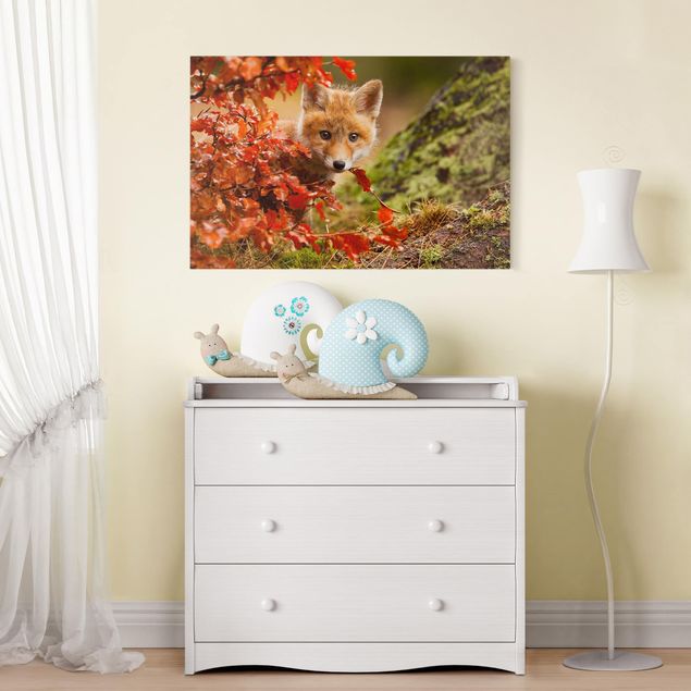 quadros de paisagens Fox In Autumn
