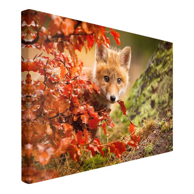 Telas decorativas paisagens Fox In Autumn