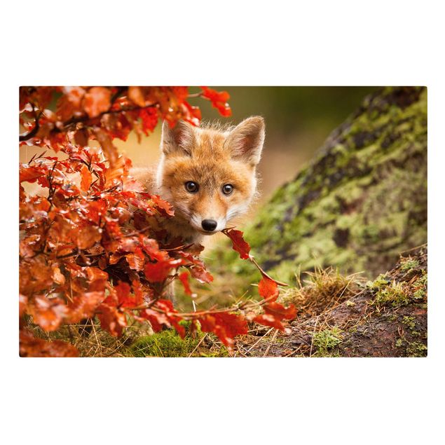 Telas decorativas florestas Fox In Autumn