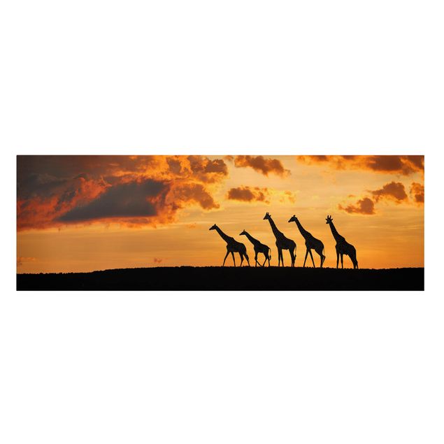 Telas decorativas pôr-do-sol Five Giraffes
