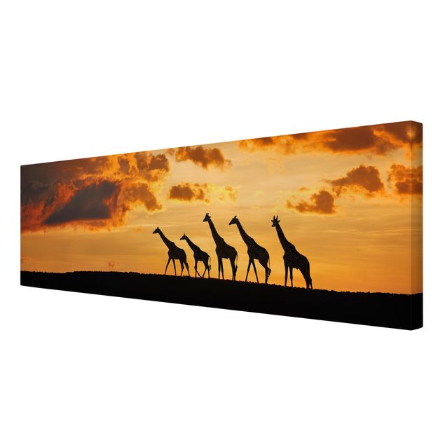 quadro com paisagens Five Giraffes
