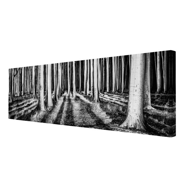 Telas decorativas em preto e branco Spooky Forest