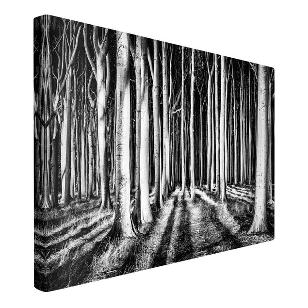Telas decorativas em preto e branco Spooky Forest
