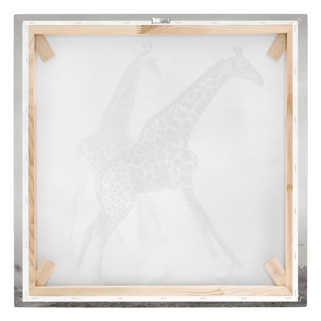 quadros em preto e branco Giraffe Hunt