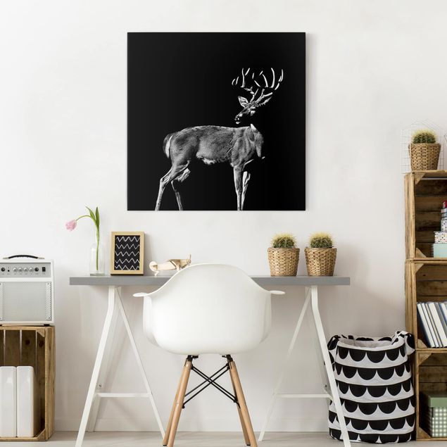 Telas decorativas em preto e branco Deer In The Dark