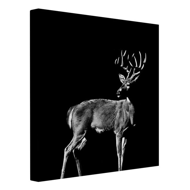 Telas decorativas animais Deer In The Dark