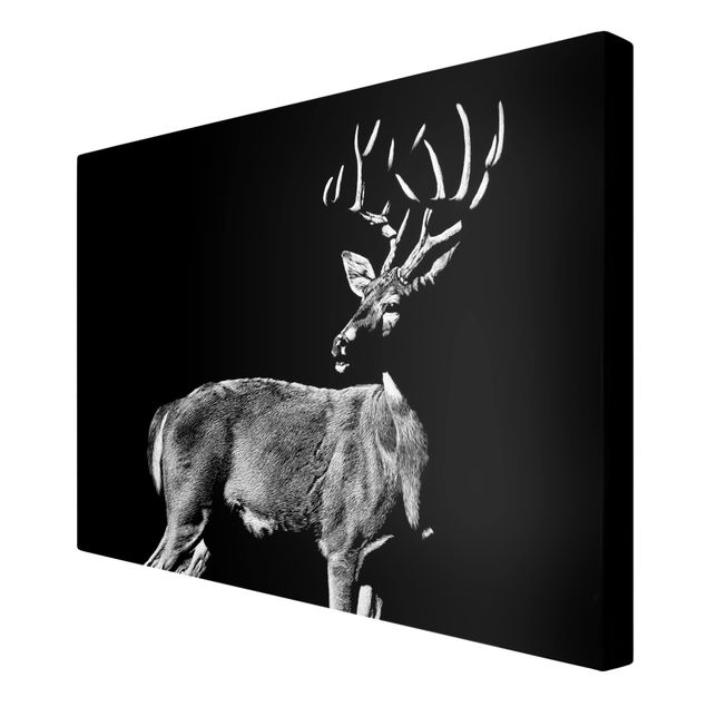quadros em preto e branco Deer In The Dark