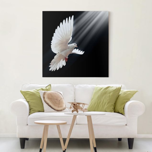 Telas decorativas aves Holy Dove
