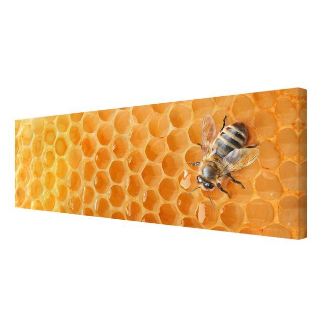 quadros em tela Honey Bee