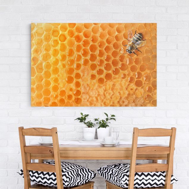 Telas decorativas girassóis Honey Bee