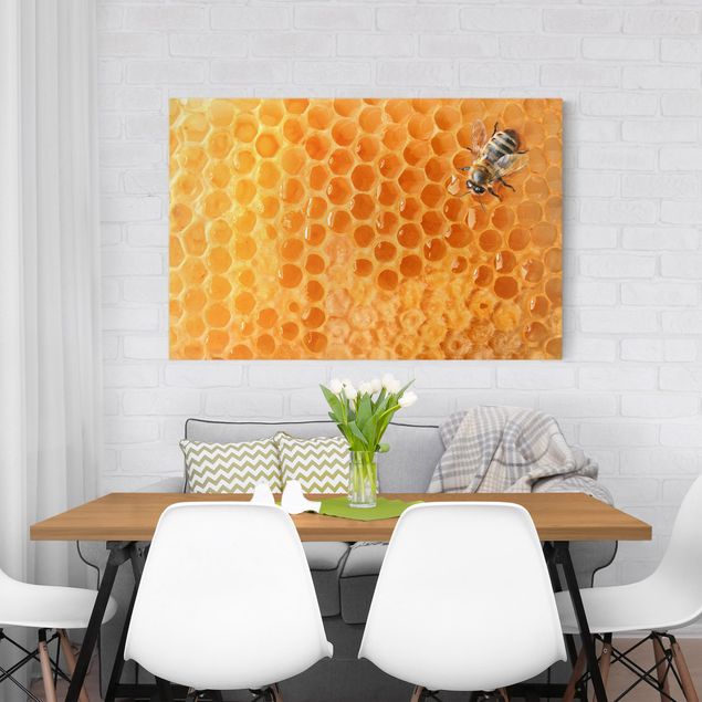 Telas decorativas animais Honey Bee