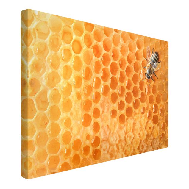 quadros decorativos para sala modernos Honey Bee
