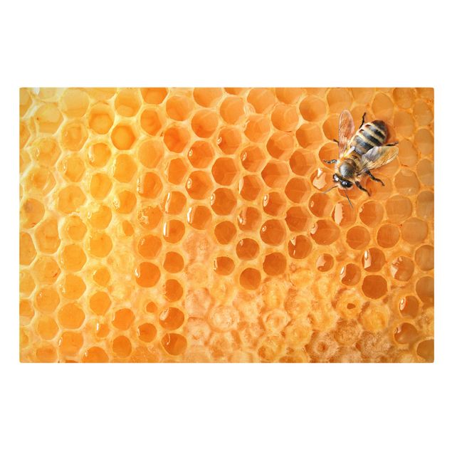 quadro animal Honey Bee