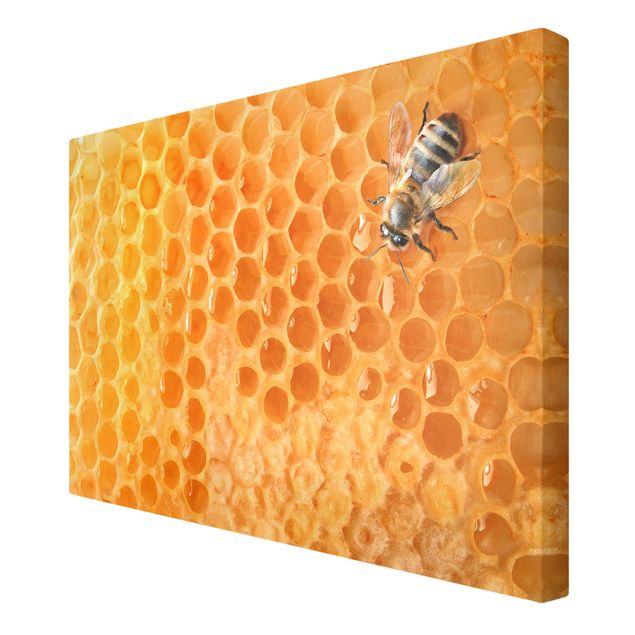 quadros para parede Honey Bee