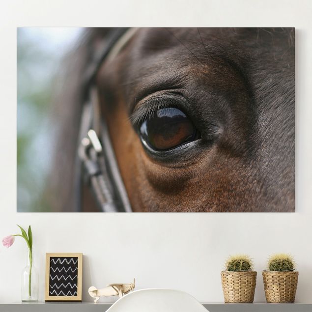 decoraçao para parede de cozinha Horse Eye