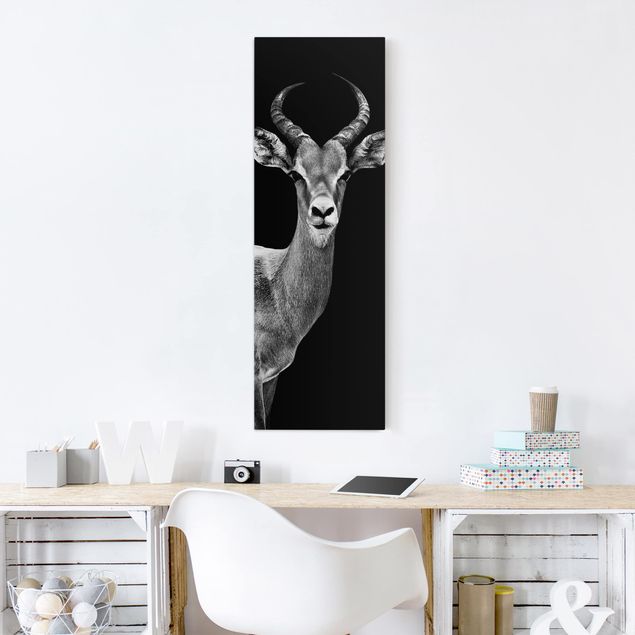 Telas decorativas em preto e branco Impala antelope black and white