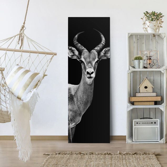 Telas decorativas animais Impala antelope black and white