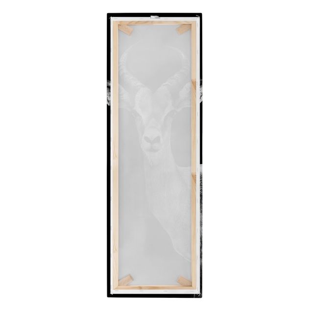 Telas decorativas Impala antelope black and white