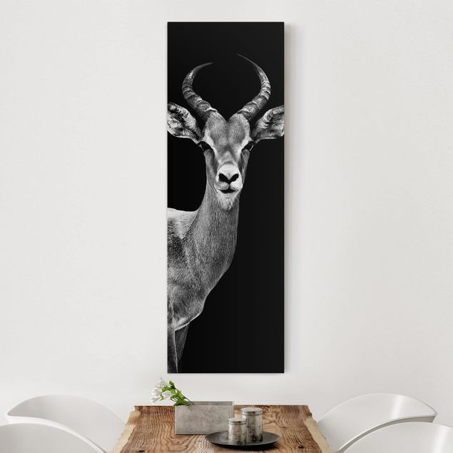 decoraçoes cozinha Impala antelope black and white