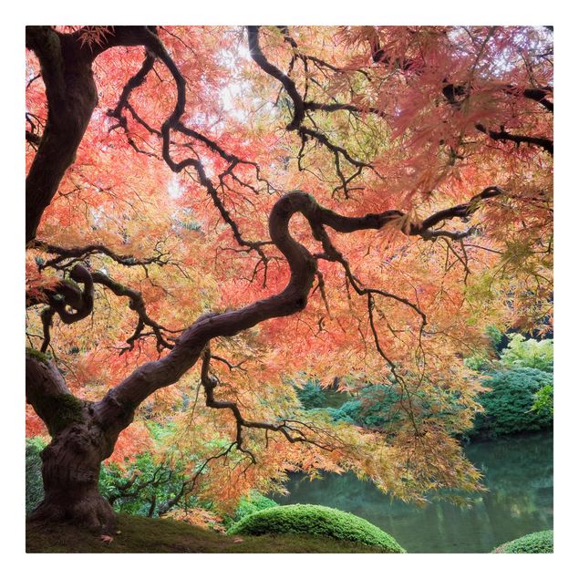 Telas decorativas florestas Japanese Garden