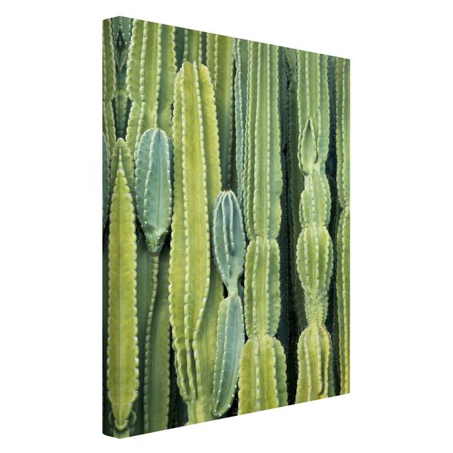 quadros flores Cactus Wall