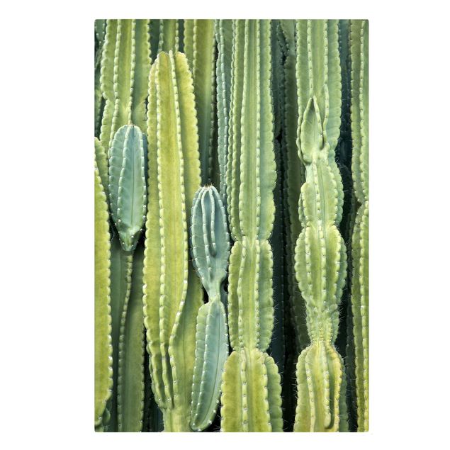 quadro decorativo verde Cactus Wall