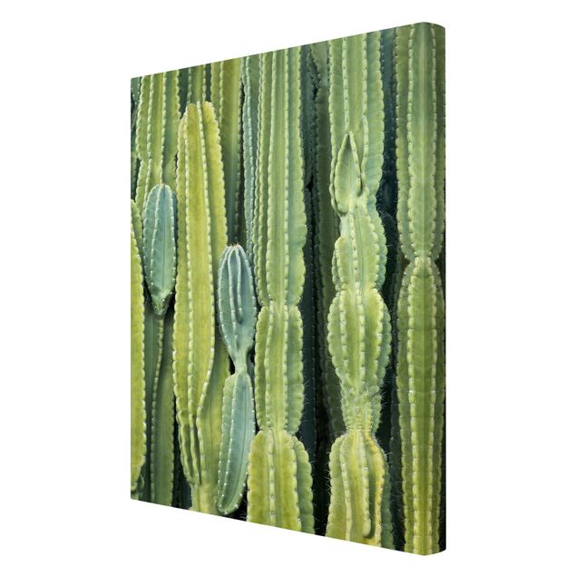quadros para parede Cactus Wall