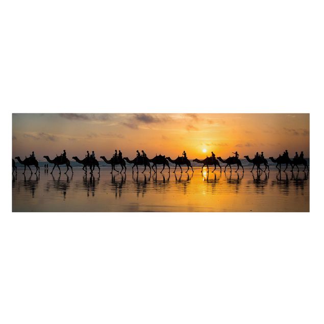quadro animais quarto bebé Camels in the sunset