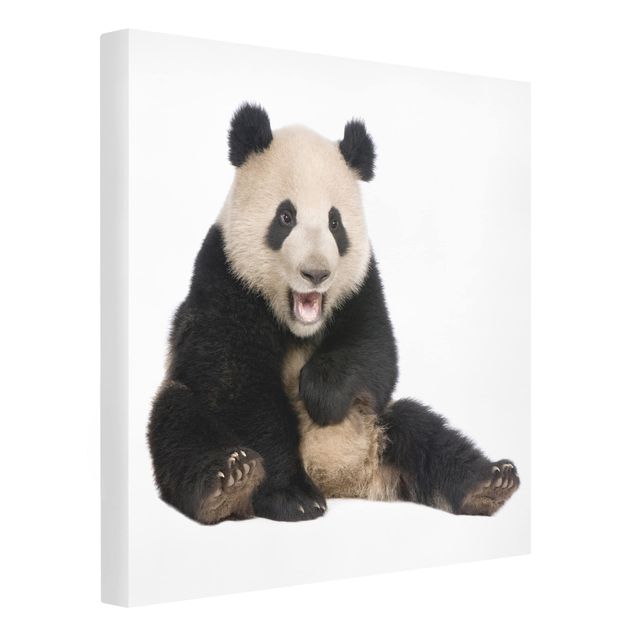 quadros decorativos para sala modernos Laughing Panda