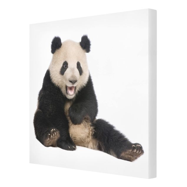 quadros para parede Laughing Panda