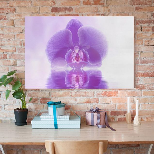 Telas decorativas orquídeas Purple Orchid On Water