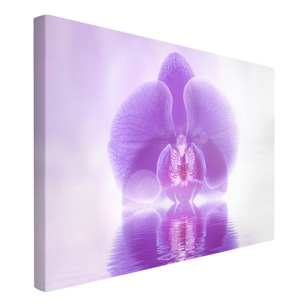 Telas decorativas flores Purple Orchid On Water