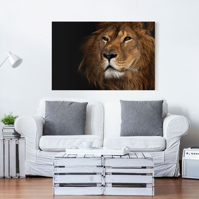 Telas decorativas leões Lion's Gaze