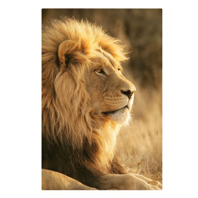 Telas decorativas animais King Lion