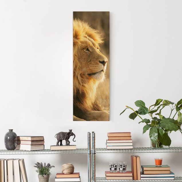 Telas decorativas leões King Lion