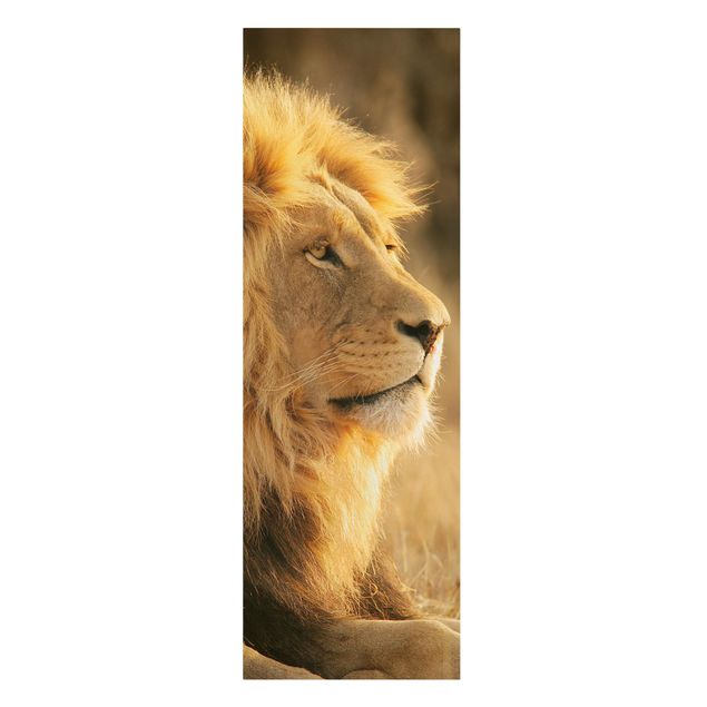 Telas decorativas animais King Lion