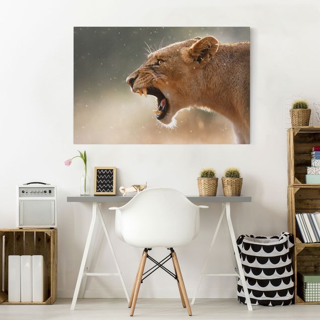 Telas decorativas leões Lioness on the hunt