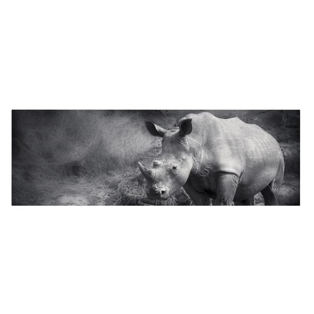 quadros em preto e branco Lonesome Rhinoceros