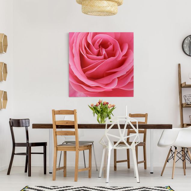 Telas decorativas flores Lustful Pink Rose