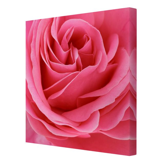 quadros para parede Lustful Pink Rose