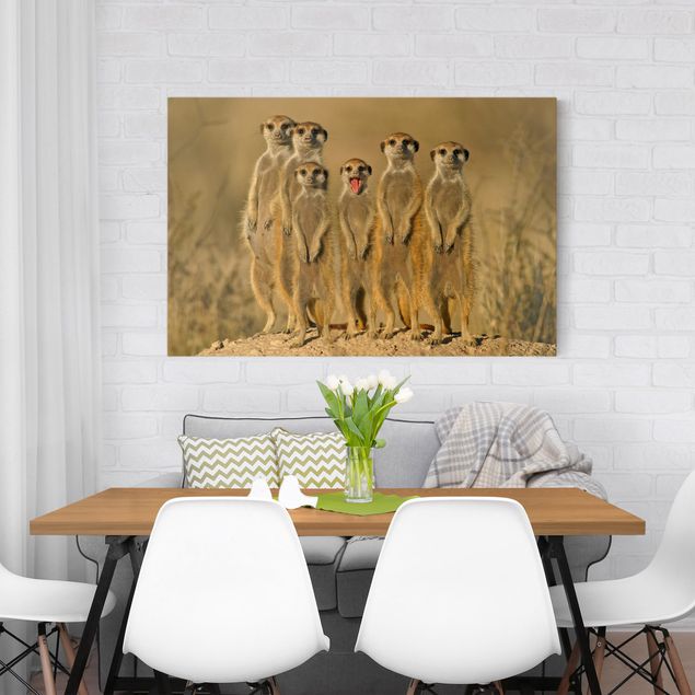 Telas decorativas animais Meerkat Family