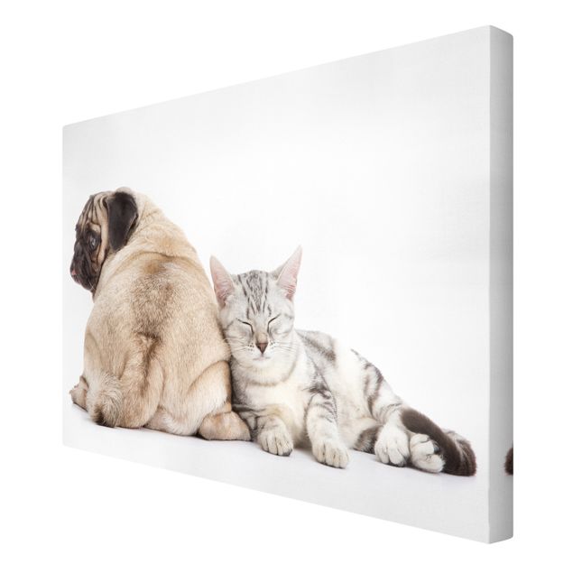 quadros decorativos para sala modernos Puggy And Kitten