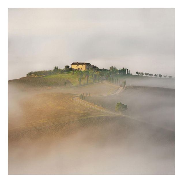quadro da natureza Morning Fog In The Tuscany