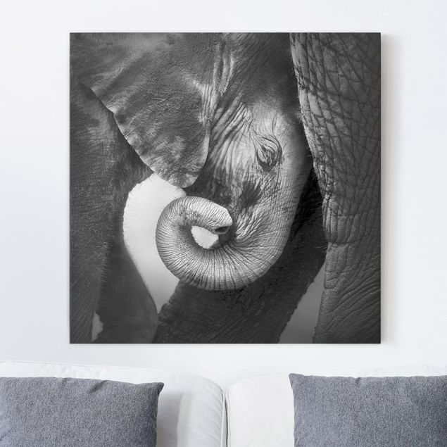Telas decorativas elefantes Mother's Love