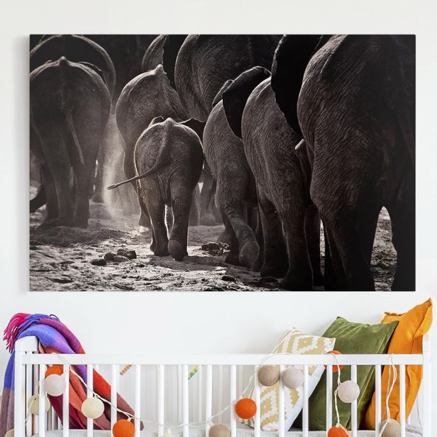 Telas decorativas elefantes Going Home
