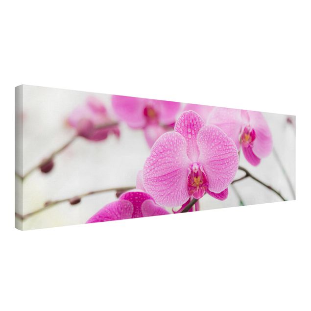 Telas decorativas flores Close-Up Orchid