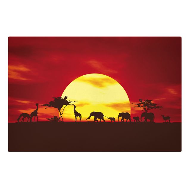 Quadros girafas No.CG80 Sunset Caravan