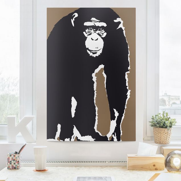 Telas decorativas macacos Chimpanzee